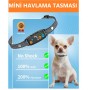 Küçük ırk havlama tasması titreşimli MC465G Şok Yok